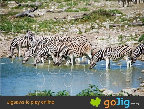 Jigsaw : Zebras Watering Hole