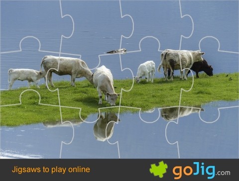 Jigsaw : Cows by Water