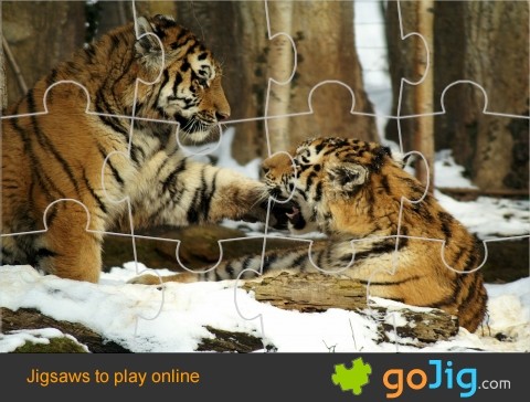 Jigsaw : Tigers in Snow