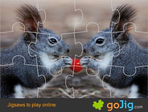 Jigsaw : Love Squirrels