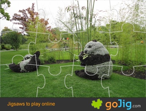 Jigsaw : Panda Artwork