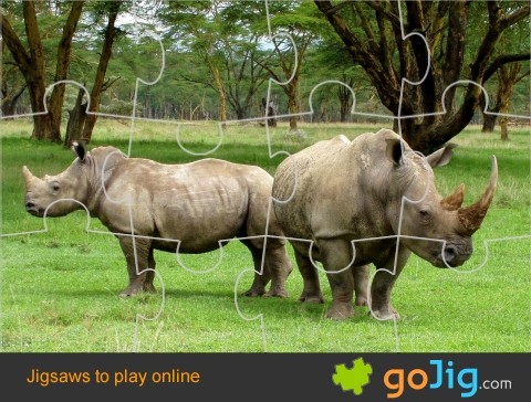 Jigsaw : Rhino's