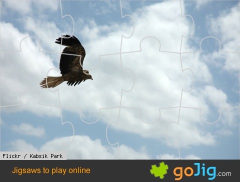 Jigsaw : Eagle in Flight