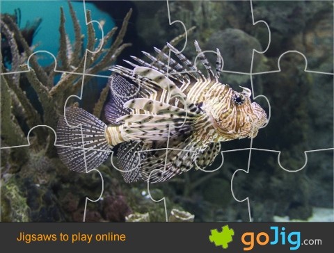 Jigsaw : Lion Fish