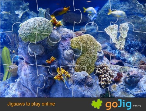 Jigsaw : Coral Reef