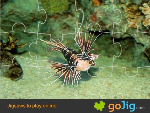 Jigsaw : Scorpion Fish