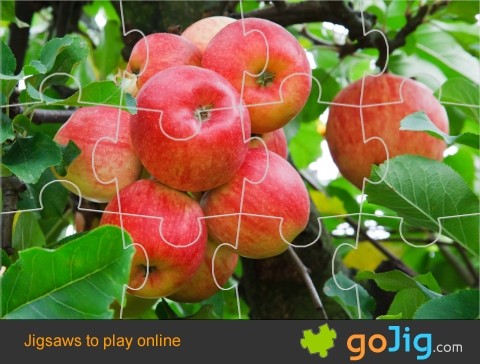 Jigsaw : Red Apples On A Tree