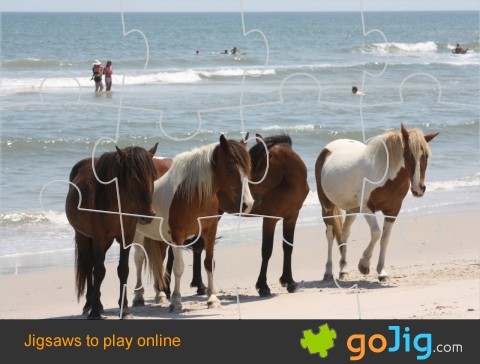 Jigsaw : Ponies On The Beach