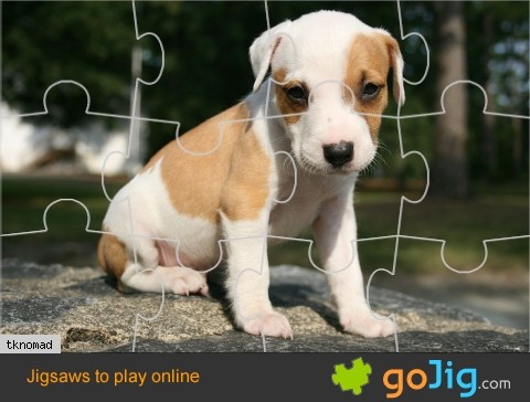 Jigsaw : Adorable Puppy