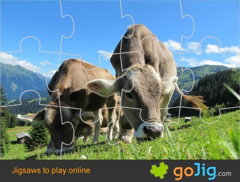 Jigsaw : Cows in Austria
