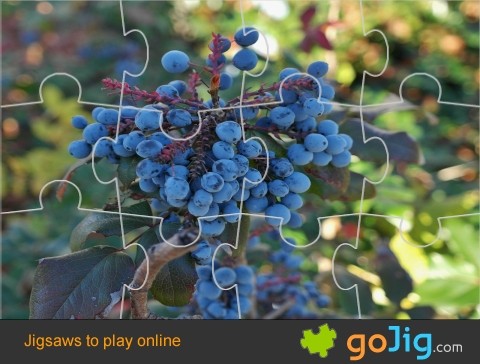 Jigsaw : Blueberries on the Tree