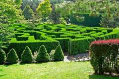Jigsaw : Garden Maze