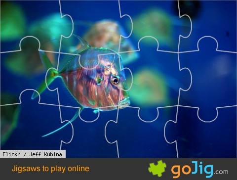 Jigsaw : Glowing Fish