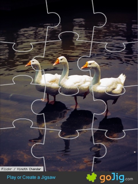 Jigsaw : Three Little Geese