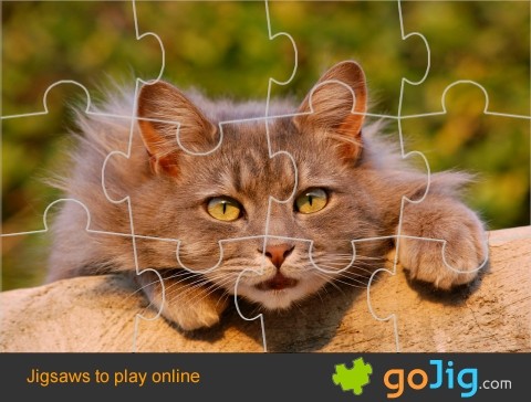 Jigsaw : Furry Feline