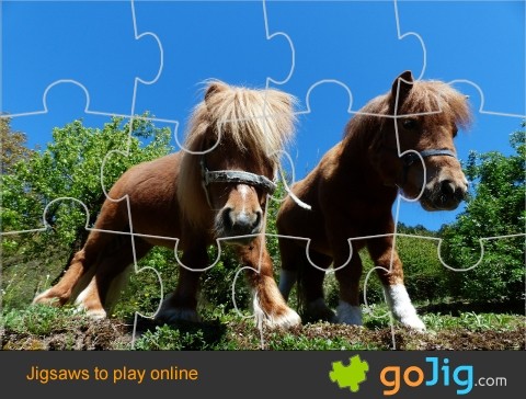 Jigsaw : Ponies