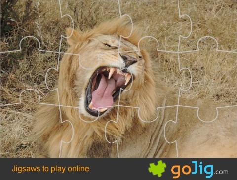 Jigsaw : Roaring Lion