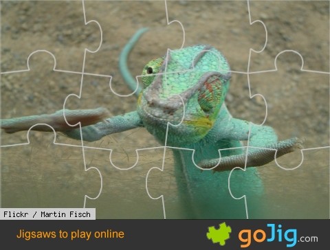 Jigsaw : Happy Chameleon