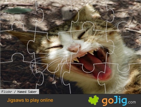 Jigsaw : Laughing Kitty