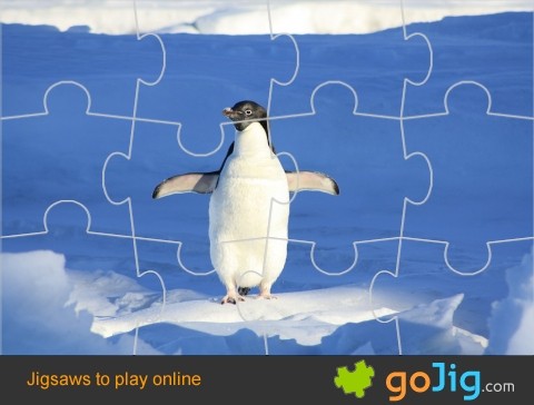 Jigsaw : Penguin Dance