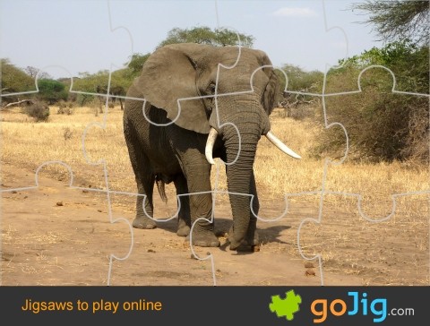 Jigsaw : Elephant