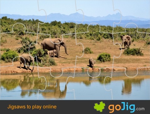 Jigsaw : Herd of Elephants