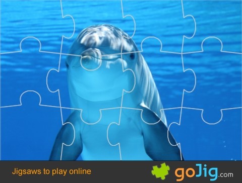 Jigsaw : Dolphin Close Up