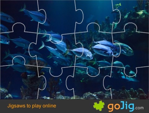 Jigsaw : Fish Deep Underwater