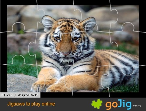 Jigsaw : Tiger Cub