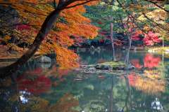 Jigsaw : Autumn in Kyoto, Japan