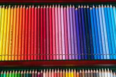 Jigsaw : Coloured Pencils